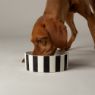 Picture of Scruffs Amalfi Stripe Ceramic Food Bowl - Black 19cm x 1