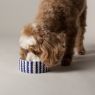 Picture of Scruffs Coastal Ceramic Food Bowl Blue Zig Zag 13cm x 1