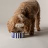Picture of Scruffs Coastal Ceramic Food Bowl Blue Zig Zag 13cm x 1