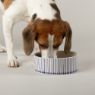 Picture of Scruffs Coastal Ceramic Food Bowl Blue Raindrops 19cm x 1
