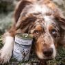 Picture of Arden Grange Partners Cans Sensitive (Silver) 395g x 6